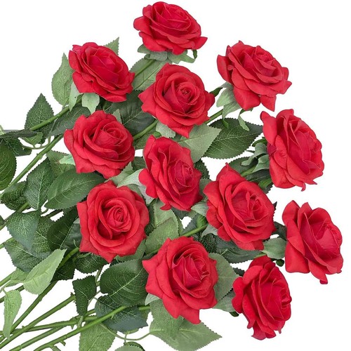 12x rosenstrauß 50cm - 50cm, rot