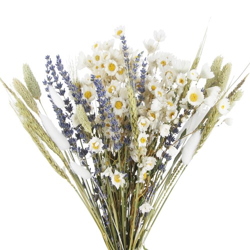 Trockenblumen deko strauß - trockenblumen,