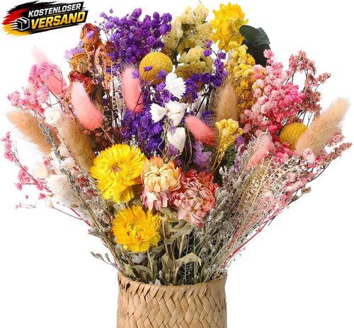 Tlg trockenblumen set bunt - trockenblumen,
