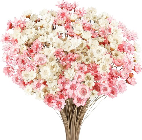 300 stück getrocknete blumen - stück,