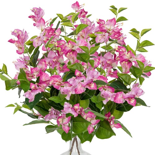 Bougainvillea blumenstrauß - bougainvillea,