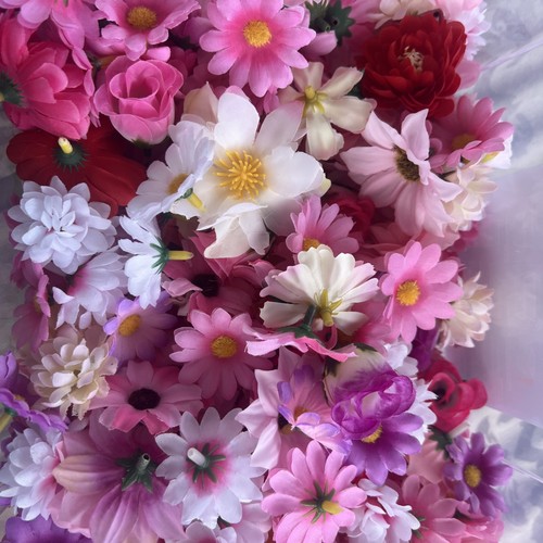 Blüten köpfe stück - köpfe,